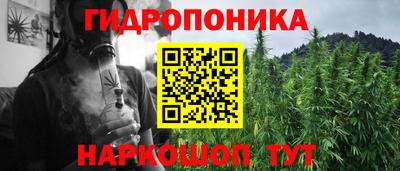 герыч Кингисепп