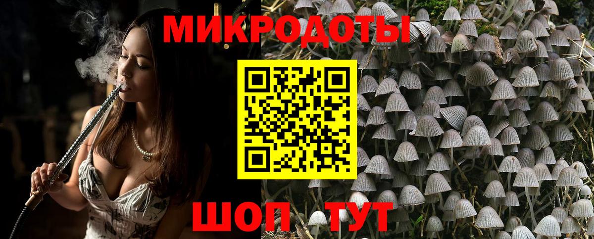 закладки  Вход с VPN  Кириши  Галлюциногенные грибы Psilocybe 