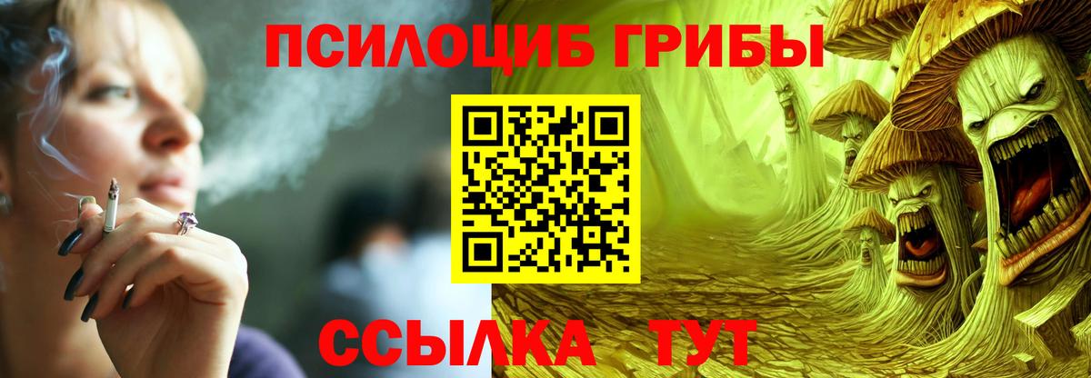 Псилоцибиновые грибы мицелий Кириши